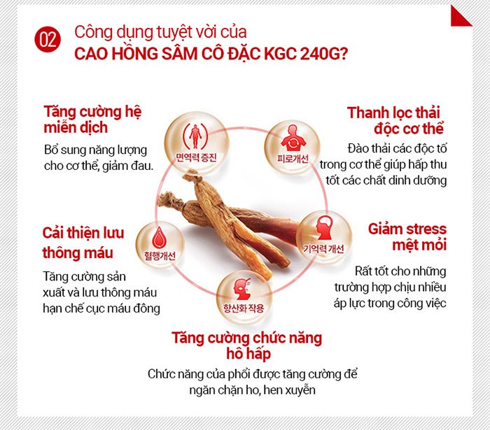 cao hồng sâm 365